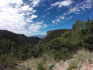 photo thumbnail #9