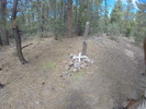 photo thumbnail #10