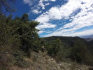 photo thumbnail #11