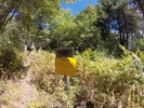 photo thumbnail #15