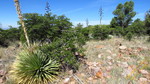 photo thumbnail #10