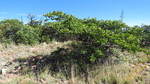 photo thumbnail #12