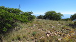 photo thumbnail #13