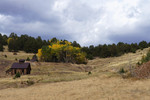 photo thumbnail #8