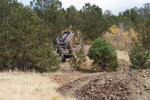 photo thumbnail #9