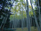 photo thumbnail #11
