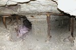 photo thumbnail #12