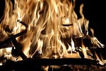 photo thumbnail #15