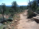photo thumbnail #6