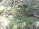 photo thumbnail #4