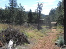 photo thumbnail #6