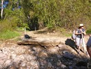 photo thumbnail #3