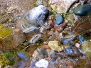photo thumbnail #14