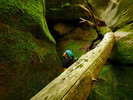 photo thumbnail #6