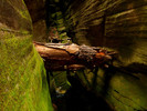 photo thumbnail #12
