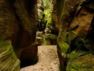 photo thumbnail #13