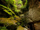photo thumbnail #15