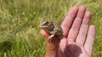 photo thumbnail #1