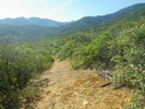 photo thumbnail #1