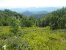 photo thumbnail #10