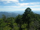 photo thumbnail #12