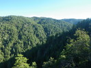 photo thumbnail #15