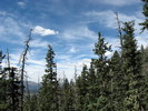 photo thumbnail #5