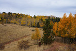 photo thumbnail #12