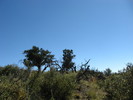 photo thumbnail #11