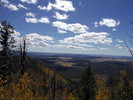 photo thumbnail #4