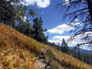 photo thumbnail #5