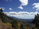 photo thumbnail #6