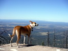 photo thumbnail #10