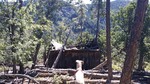 photo thumbnail #2