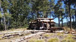 photo thumbnail #3
