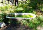 photo thumbnail #10