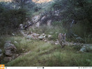 2015-09-20 :2: Cochise Stronghold Trail #279 :: airic