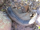 photo thumbnail #4