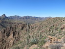 photo thumbnail #11