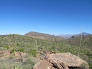 photo thumbnail #13