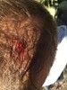 photo thumbnail #1