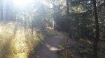 photo thumbnail #2