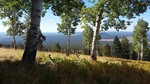 photo thumbnail #12