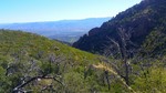 photo thumbnail #1
