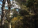 photo thumbnail #15