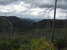photo thumbnail #4
