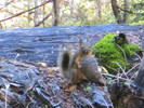 photo thumbnail #11