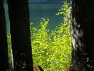 photo thumbnail #13