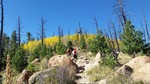 photo thumbnail #1