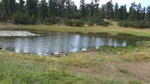 photo thumbnail #5